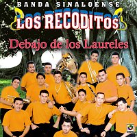 Banda Sinaloense los Recoditos – Debajo De Los Laureles