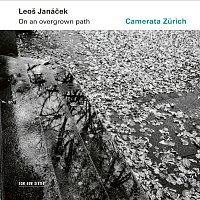 Camerata Zurich, Igor Karsko – Janáček: On An Overgrown Path (Po zarostlém chodnicku), JW 8/17 - Arr. Rumler for String Orchestra / Book I: 10. The Barn Owl Has Flown Away!
