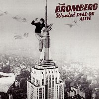 David Bromberg – Wanted Dead Or Alive