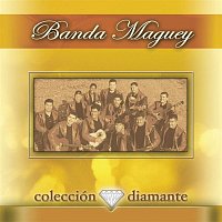 Banda Maguey – Coleccion Diamante