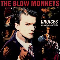 The Blow Monkeys – Choices, The Single Collection