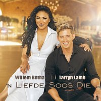 Willem Botha, Tarryn Lamb – 'n Liefde Soos Die