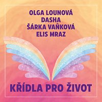 Přední strana obalu CD Křídla pro život