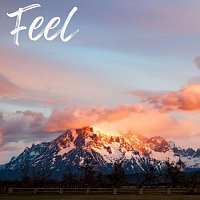 Přední strana obalu CD Feel