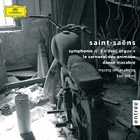 Přední strana obalu CD Saint-Saens: Symphony No. 3 in C Minor, Op. 78, R. 176 "Organ Symphony"; Le carnaval des animaux, R. 125; Danse macabre, Op. 40