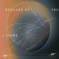 BUS – BECAUSE OF YOU, I SHINE