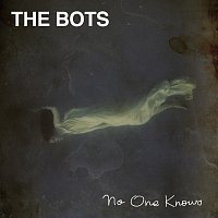 The Bots – No One Knows