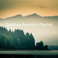 Různí interpreti – Calming Acoustic Playlist