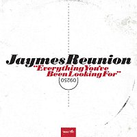 Jaymes Reunion – Everything You've Been Looking For