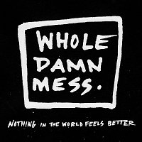 Whole Damn Mess – Nothing In The World Feels Better