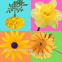 Dario Solaire – Yellow Flowers