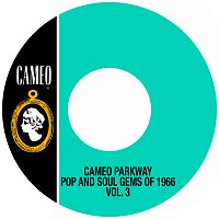 Různí interpreti – Cameo Parkway Pop And Soul Gems Of 1966 Vol. 3