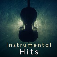 Různí interpreti – Instrumental Hits