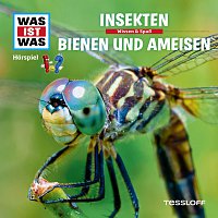 Was Ist Was – 37: Insekten / Bienen und Ameisen