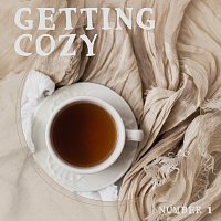Různí interpreti – Getting Cozy, Number 1