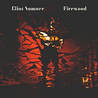 Eliot Sumner – Firewood
