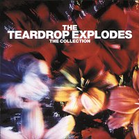 The Teardrop Explodes – The Collection