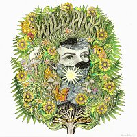 Wild Pink – 3 Songs