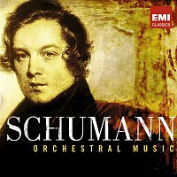Various  Artists – Schumann - 200th Anniversary Box - Orchestral
