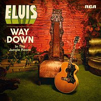 Elvis Presley – Way Down in the Jungle Room