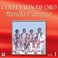 Banda Camino – Colección De Oro, Vol. 1