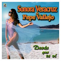 Sonora Veracruz de Pepe Vallejo – Desde Que Te Vi