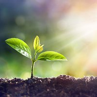 Přední strana obalu CD Tadari