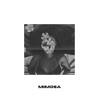 Kenny – Mimosa