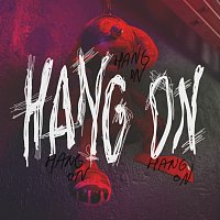 Přední strana obalu CD Hang On