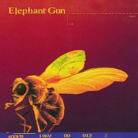 Elephant Gun