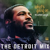 Přední strana obalu CD What’s Going On: The Detroit Mix