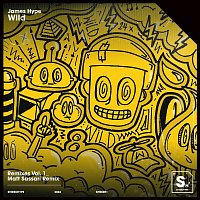 Wild (Matt Sassari Remix)