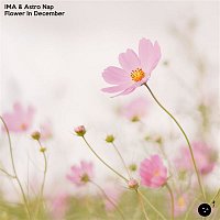 Ima & Astro Nap – Flower In December