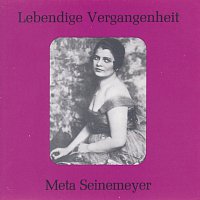 Meta Seinemeyer – Lebendige Vergangenheit - Meta Seinemeyer