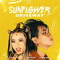 CHICHA22, CHARLES., Kim Chi Sun – Sunflower Driveway