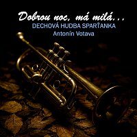 Přední strana obalu CD Dobrou noc, má milá...