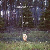 Brand New – Daisy