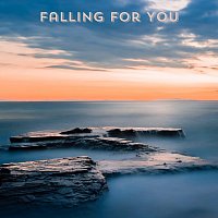 Přední strana obalu CD Falling for You