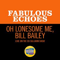 The Fabulous Echoes – Oh Lonesome Me/Bill Bailey [Medley/Live On The Ed Sullivan Show, August 1, 1965]