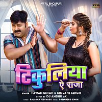 Pawan Singh, Shivani Singh, Dj Anshu aX – Tikuliya Ae Raja [Remix]