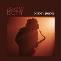 Boney James – All I Want Is You [Instrumental]