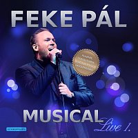 Přední strana obalu CD Musical Live 1.