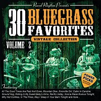 Různí interpreti – 30 Bluegrass Favorites Power Picks: Vintage Collection [Vol. 2]
