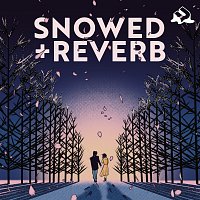 Přední strana obalu CD Snowed + Reverb