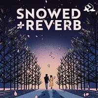 Snowed + Reverb