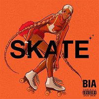 Přední strana obalu CD SKATE