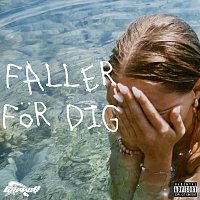 Přední strana obalu CD Faller for dig