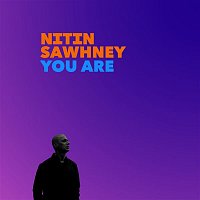 Nitin Sawhney, Ashwin Srinivasan & Anna Phoebe – You Are (Instrumental Economy)