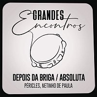 Grandes Encontros, Pericles, Netinho De Paula – Depois da Briga / Absoluta