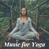 Různí interpreti – Music for Yoga